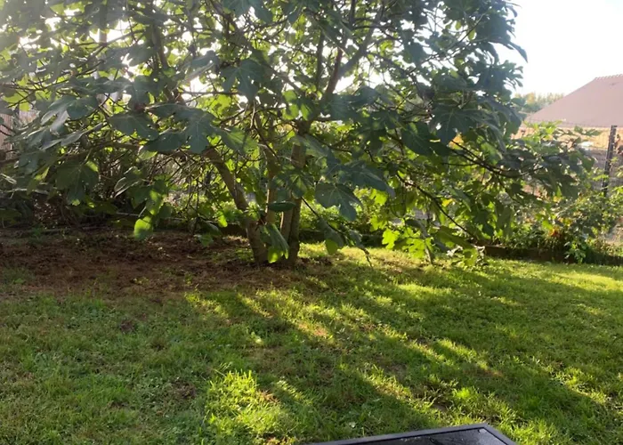 Bed & Breakfast D'hotes De Cecile *