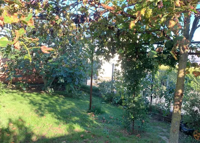 Bed & Breakfast D'hotes De Cecile Terranjou