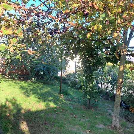 Bed & Breakfast D'hotes De Cecile Terranjou